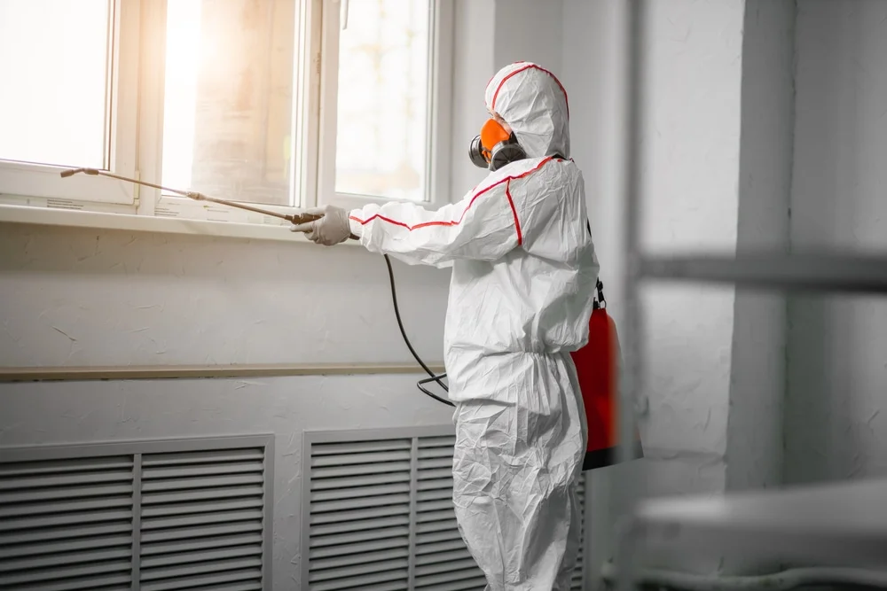 Professional mold remediation services in Ridgefield, CT